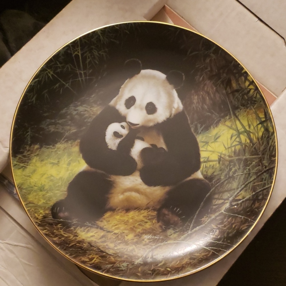 The Panda Collector Plate by Will Nelson